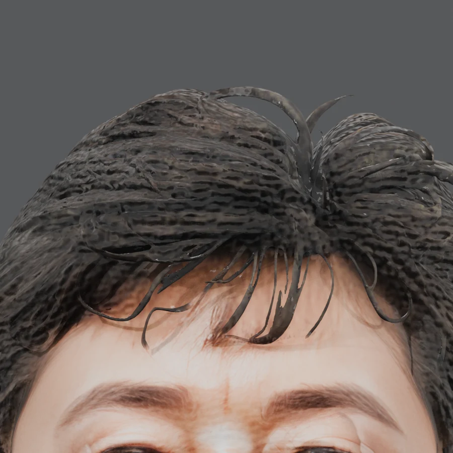 정체성과 연령이 드리프트한 전체 생성 결과의 머리 확대